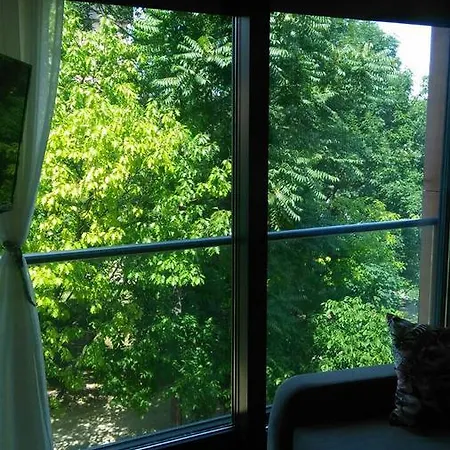 Cozy In Heart Of